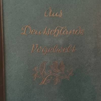 Aus Deutschlands Vogelwelt - Cigaretten-Bilderdienst Hamburg-Bahrenfeld 1936