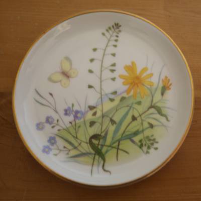 kleiner Porzellanteller Rosenthal Wiesenblumen