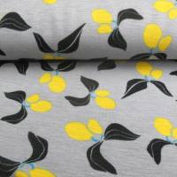 Rest:1,40m x 1,55m Alpenfleece Kuschel Sweat Zitrone hellgrau