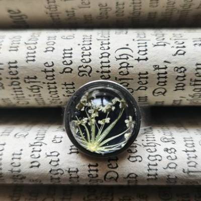 Ring Wilde Möhre | Schwarz & Silber | Edelstahl | Echte gepresste Pflanze | 12mm Glas-Cabochon | Größenverstellbar