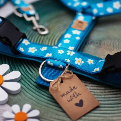 Hundegeschirr Lene – Margeriten Design in Petrol und Türkisblau, mit Kunstleder gefüttert