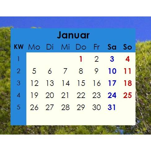 Jahreskalender 2026 auf einen Blick – Pinienwälder -  PDF – DIN A4 zum Ausdrucken Bild 2
