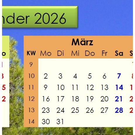 Jahreskalender 2026 auf einen Blick – Pinienwälder -  PDF – DIN A4 zum Ausdrucken Bild 3