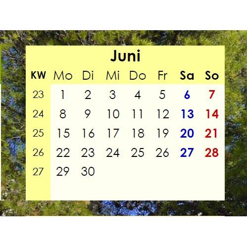 Jahreskalender 2026 auf einen Blick – Pinienwälder -  PDF – DIN A4 zum Ausdrucken Bild 4