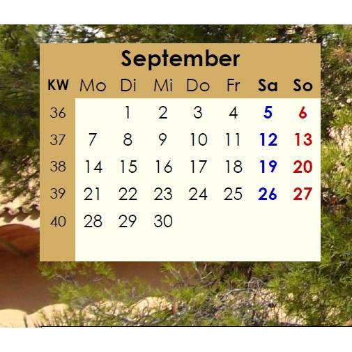 Jahreskalender 2026 auf einen Blick – Pinienwälder -  PDF – DIN A4 zum Ausdrucken Bild 6