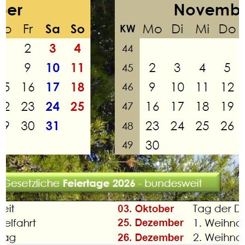 Jahreskalender 2026 auf einen Blick – Pinienwälder -  PDF – DIN A4 zum Ausdrucken Bild 7