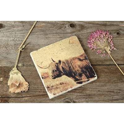 Untersetzer aus Travertin – Highland Cow Isle of Skye – Vintage Naturmotiv