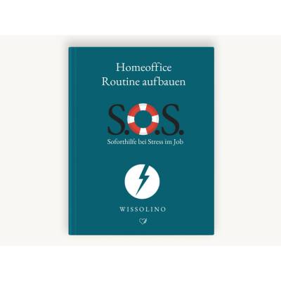 Homeoffice Routine aufbauen | Remote Work Struktur schaffen Ratgeber Produktivität PDF