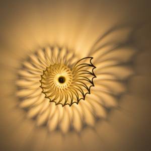 Wandlampe aus Holz, Nautilus Muschel, 40cm Holzlampe Schlafzimmer, Beleuchtung Wohnzimmer, E27 Fassung, Effektbeleuchtun