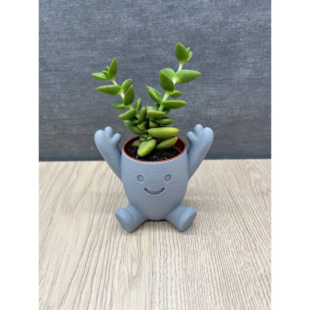 Niedlicher 3D-Blumentopf mit Gesicht | Lustige Pflanztopf-Figur fr  Sukkulenten | Fensterbank & Wohnzimmer Deko | Perfek