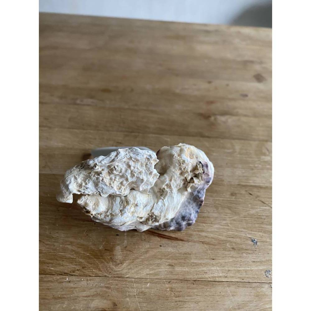 Muschelschiff You & me, Geschenk für Verliebte, Segelboot mit Spruch, kleines Mitbringsel Bild 5