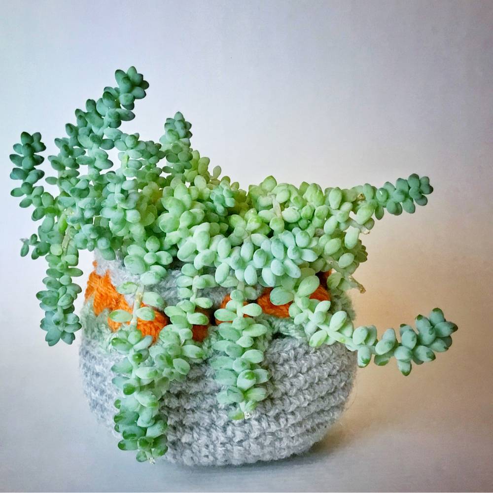 Kleines Tulpenkörbchen - kostenlose Häkelanleitung für ein kleines Körbchen zum bepflanzen /als Geschenkkörbchen Bild 7
