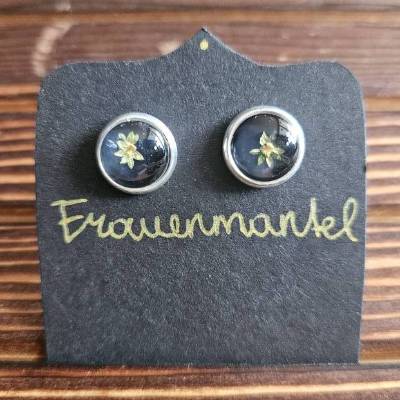 Ohrstecker Frauenmantel 10mm | Schwarz & Silber | 925 Silber auf Edelstahl | Echte gepresste Pflanze | Glas-Cabochon Uni