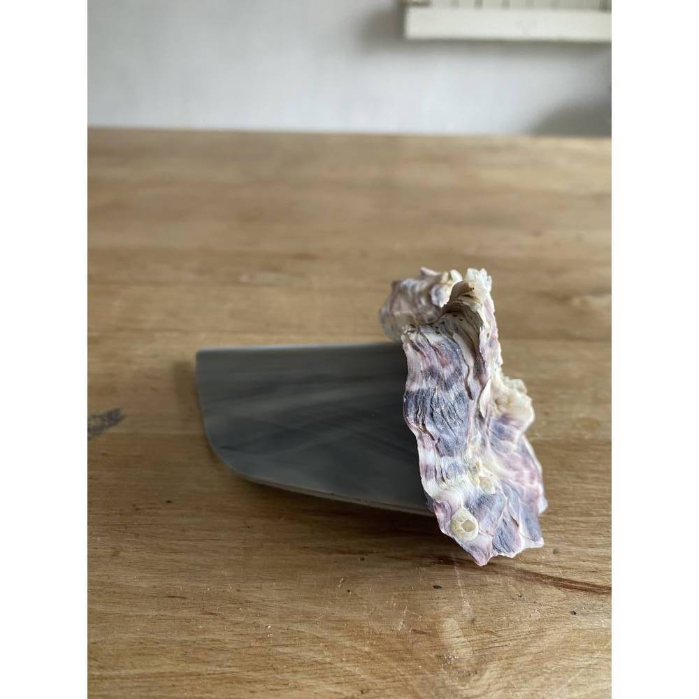 Muschel Segelschiff mit Spruch, kleines Geschenk für Meerliebhaber, Segelboot als Dekoration Bild 7