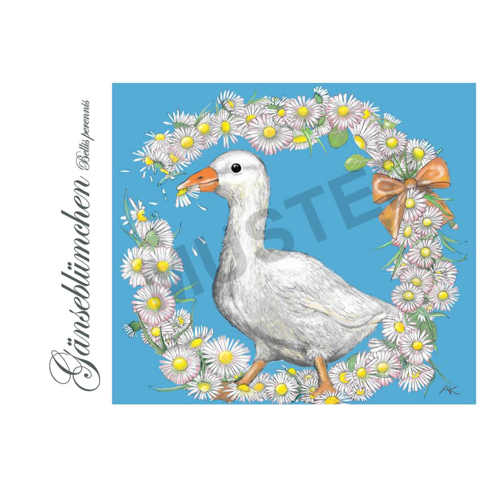 Kaplans Klappkarten: Eine Blume namens... (Set mit 8 Karten, 120 x 170 lang) Bild 5