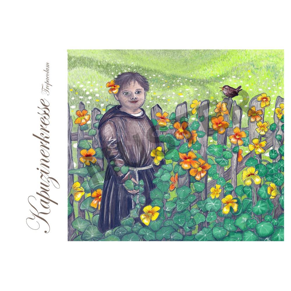 Kaplans Klappkarten: Eine Blume namens... (Set mit 8 Karten, 120 x 170 lang) Bild 7