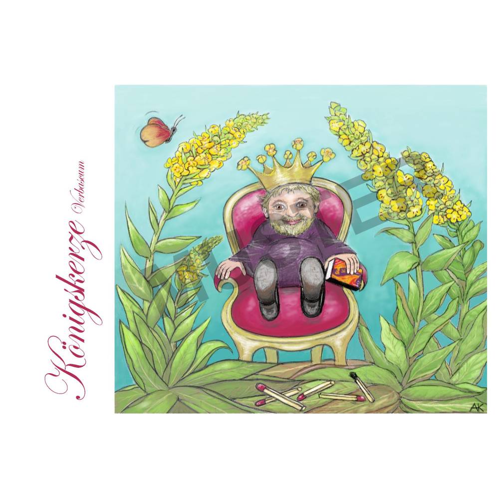 Kaplans Klappkarten: Eine Blume namens... (Set mit 8 Karten, 120 x 170 lang) Bild 8