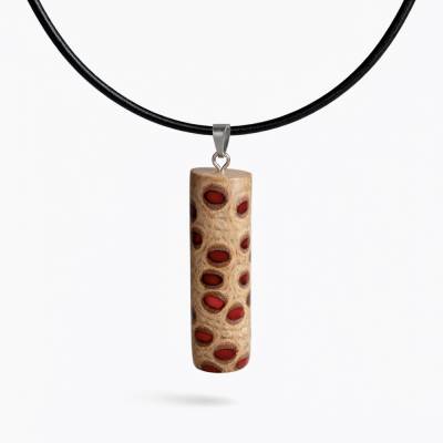 Banksia Anhänger mit rotem Harz – Lederkette 45+5 cm – Edelstahl-Schlaufe & Karabiner – Unikat 5,5 cm