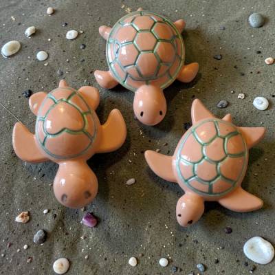 Magnet, Schildkröte, Gastgeschenk, Mitbringsel