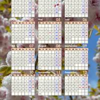 Jahreskalender 2026 Japanische Kirschblüten – 13-seitig, Hochformat PDF – DIN A4 zum Ausdrucken