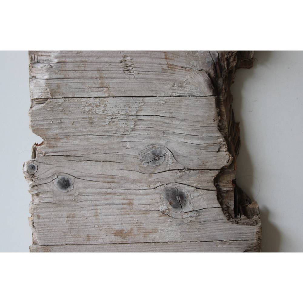 Treibholz Schwemmholz 1 XL Brett 38 cm – Unikat Deko Regal Garderobe Garten