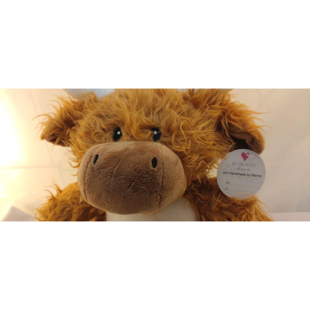 Highland Cow Bulle Bestickung mit Wunschtext 37 cm verschiedene Texte möglich Bild 10