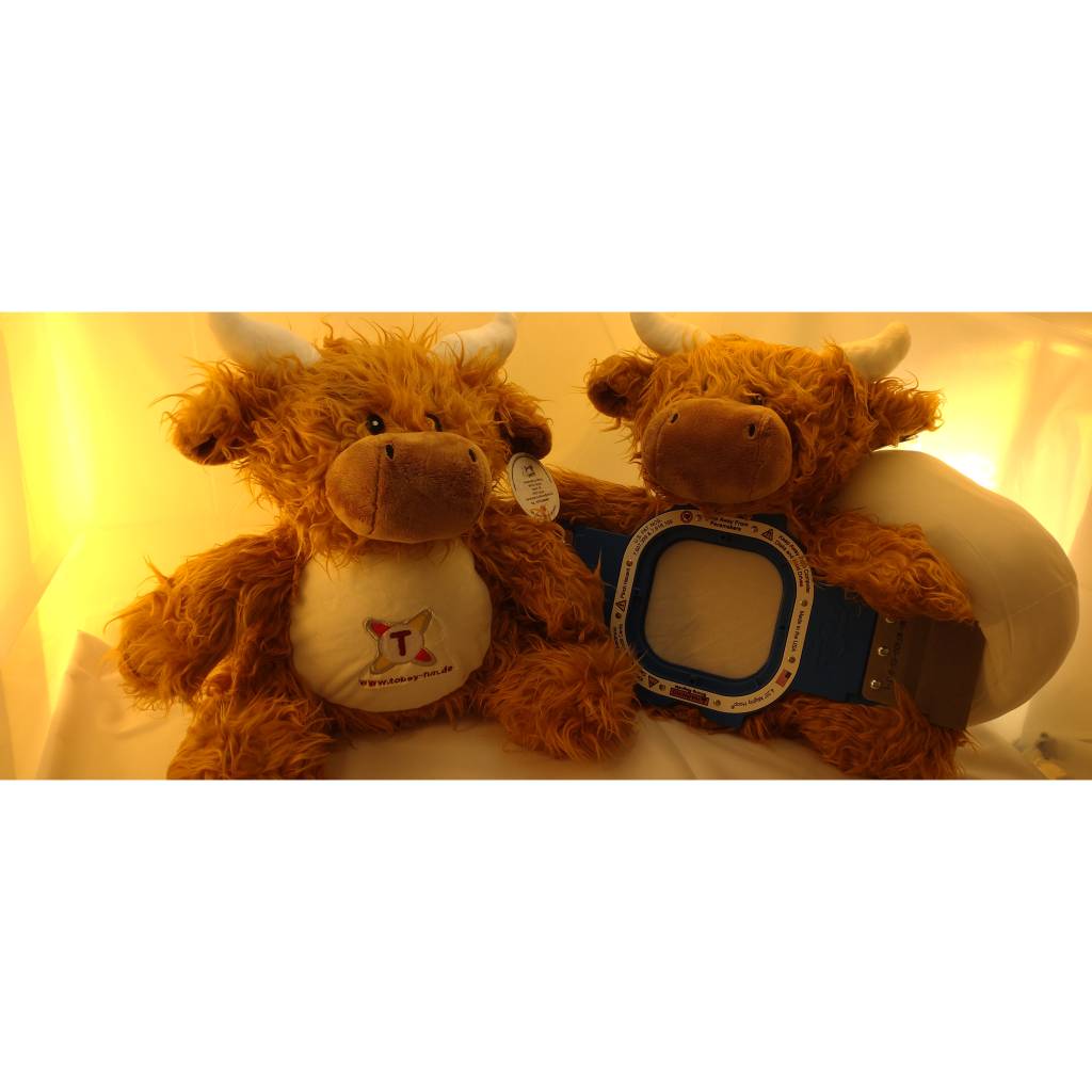Highland Cow Bulle Bestickung mit Wunschtext 37 cm verschiedene Texte möglich Bild 6