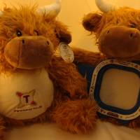 Bild 7