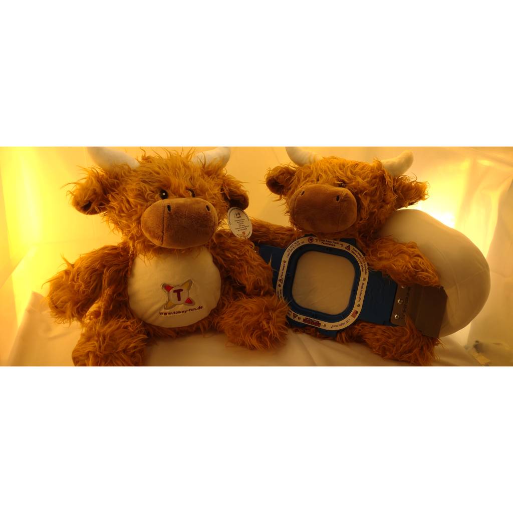 Highland Cow Bulle Bestickung mit Wunschtext 37 cm verschiedene Texte möglich Bild 8