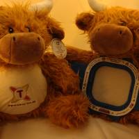 Bild 8