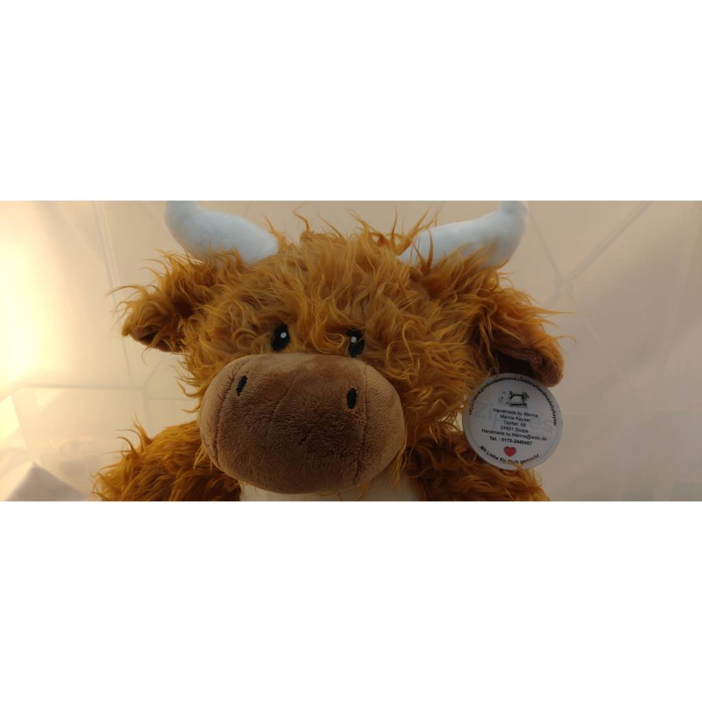 Highland Cow Bulle Bestickung mit Wunschtext 37 cm verschiedene Texte möglich Bild 9