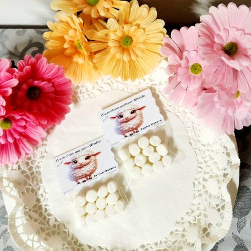 Osterlämmchen-Wolle To-Go, Hase, Ostern, Frühling, Osterhase, Mitbringsel, Mitgebsel, Geschenk, Ostergeschenk, Kleinigke