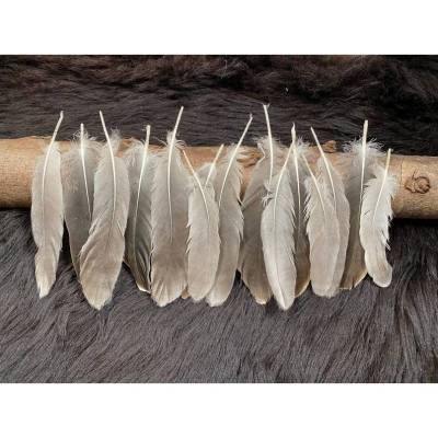 20 Federn, 12-15cm, Schwungfedern, Bastelfedern, Gänsefedern, Naturfedern