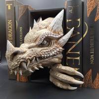 Book Nook - Licht Drache