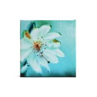 Leinwand Kirschblüte – Retro Türkis Wandbild 20×20 cm