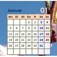 Jahreskalender 2026 auf einen Blick - Pfirsichblüten PDF – DIN A4 zum Ausdrucken Bild 2