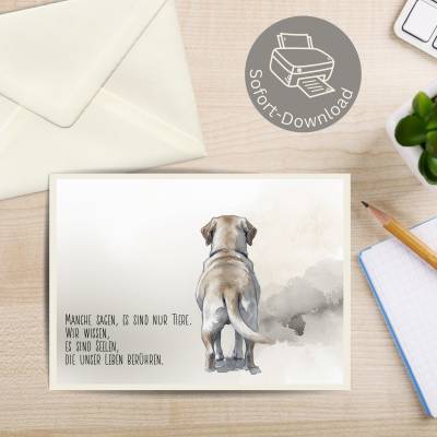 Digitale Tiertrauerkarte „Ein letzter Blick“ – Zum Abschied von einem geliebten Hund