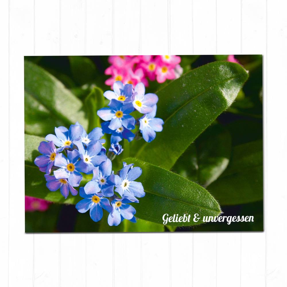 Trauerkarte Sternenkind „Geliebt & unvergessen“ | Postkarte Gedenken Fehlgeburt | Stille Geburt Bild 9