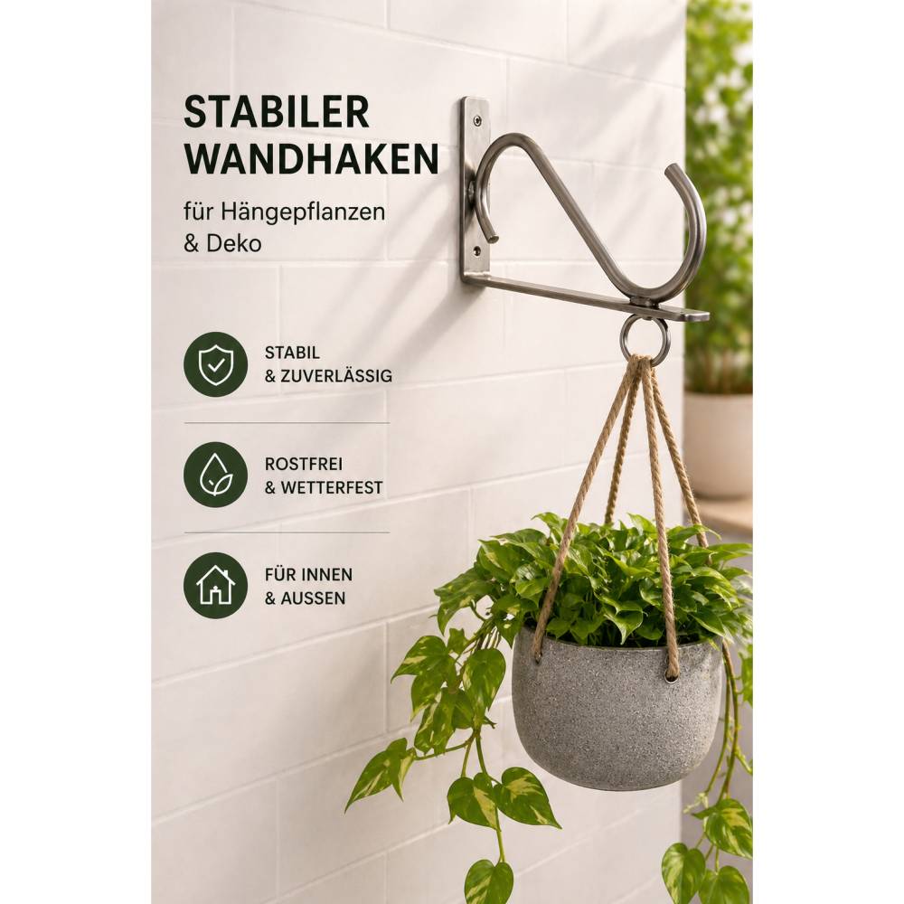ungiftige zimmerpflanzen für hunde mit bild Set Haustierfreundliche Zimmerpflanzen kaufen