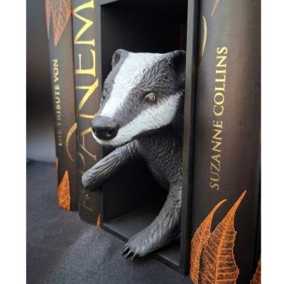Book Nook - Dachs