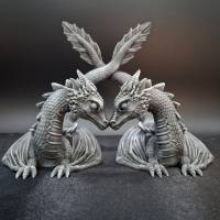 Display - Drachenzwillinge