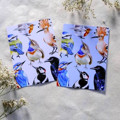 Vogelsammlung – Postkarte mit 7 Vogelillustrationen | weißer oder blauer Hintergrund