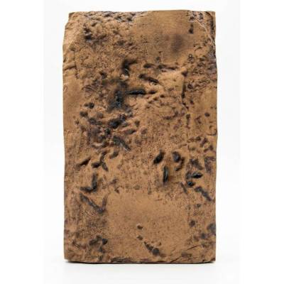 Dinosaurier Fußspuren Replik | Fossil | Steinzeug-Keramik 20x12