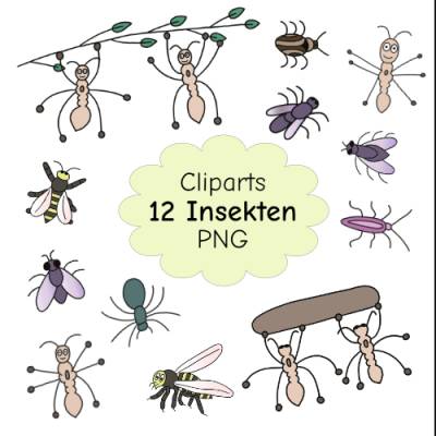 12 farbige Insekten-Cliparts im Doodle-Stil als PNG – Perfekt für Bastelprojekte