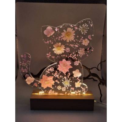 Display Katze mit echten Blüten auf LED Lichtsockel Rosa