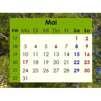 Jahreskalender 2027 auf einen Blick – Pinienwälder -  PDF – DIN A4 zum Ausdrucken Bild 4