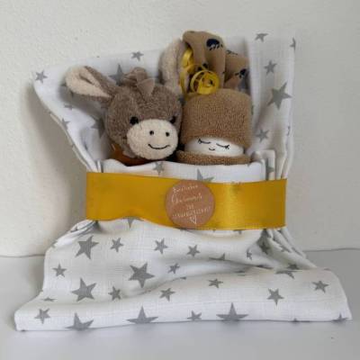 Glückwunsch zur Schwangerschaft, Geschenk mit Schmusetuch Esel, unisex