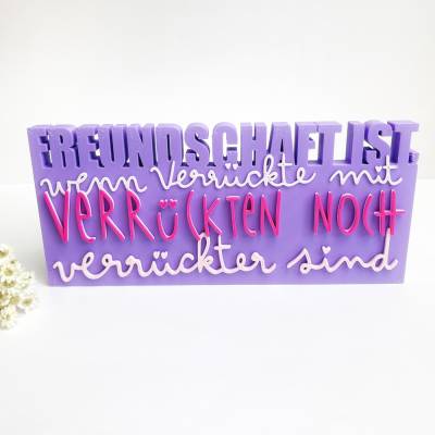 Statement Schild - Freundschaft ist, wenn Verrückte mit Verrückten noch verrückter sind -