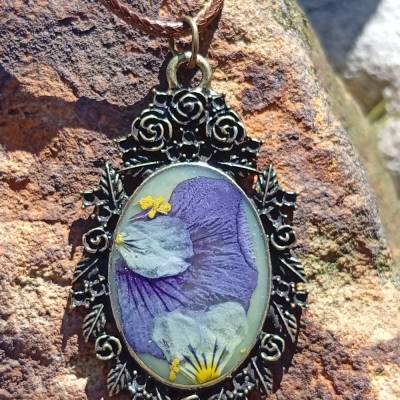 Amulett echte Blüten Hornveilchen 