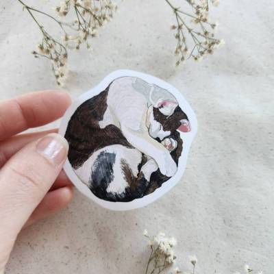  Sticker schlafende Katze | Vinyl Aufkleber | Katzen Illustration | matt | Tier Sticker